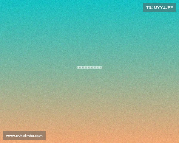 龙舟赛事专业服务提升竞技品质新体验