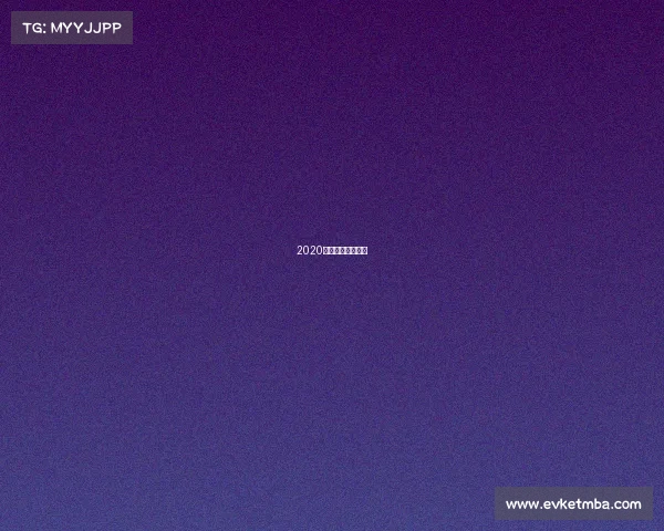 2020年武术散打锦标赛