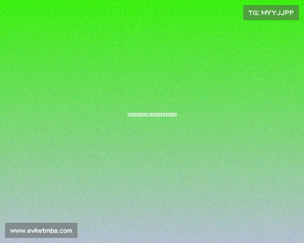 世界各国搏击赛事,世界各国搏击赛事排行榜