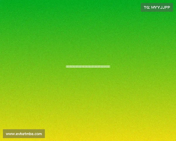 中国散打顶级赛事全景扫描年度争霸赛精彩瞬间与武术文化深度交融